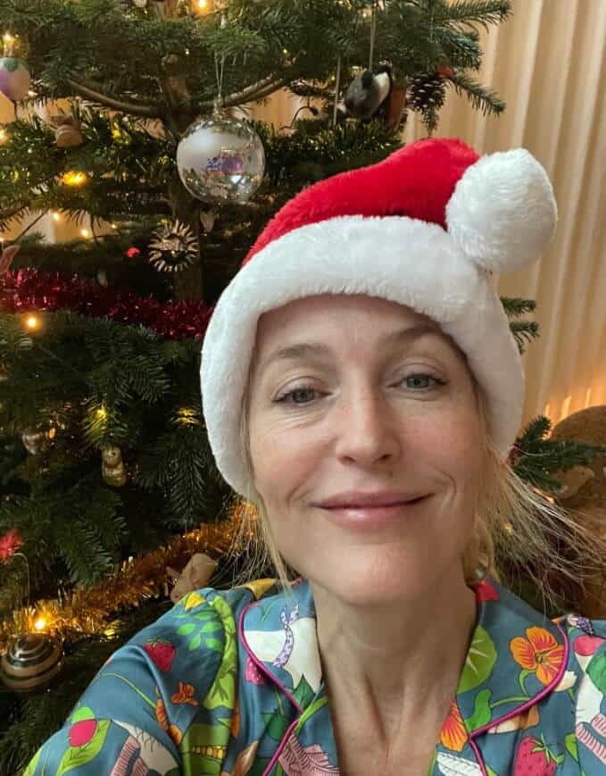 Gillian Anderson posing for christmas selfie