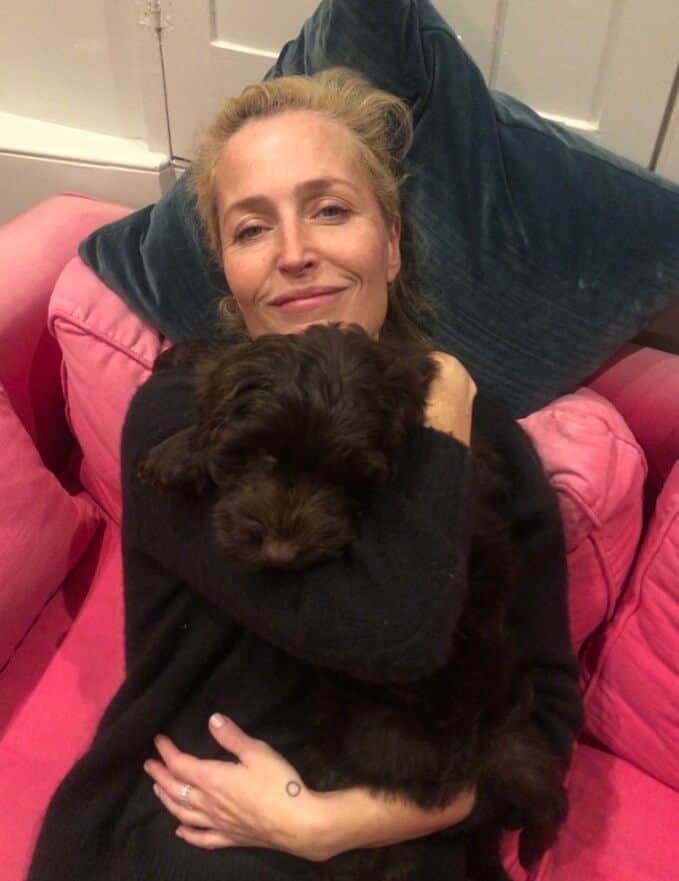 Gillian Anderson with her new dog Stella